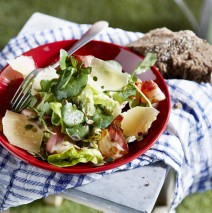 Salade van botersla, waterkers en boerenkaas